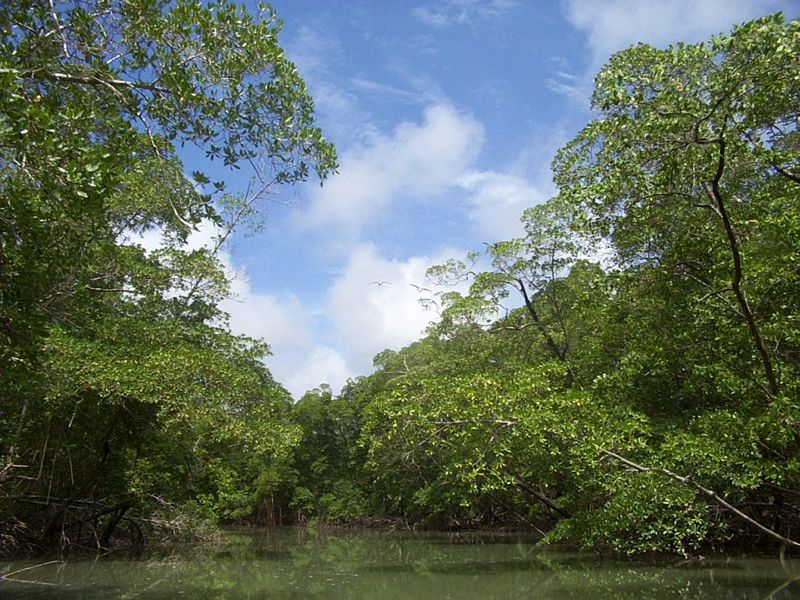 amazonas peru