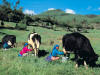 agroturismo en cajamarca tour 4 dias