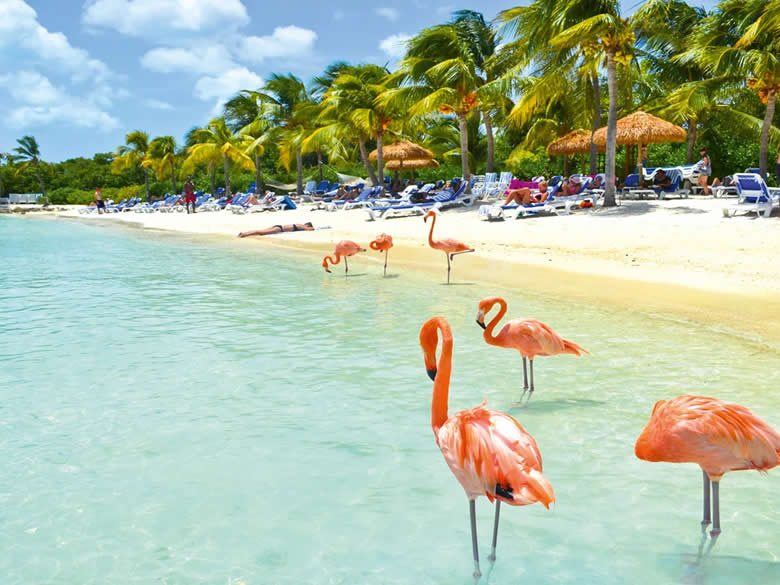 Aruba Tour